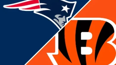 Patriots 26-20 Bengals (Nov 23, 2025) Game Recap