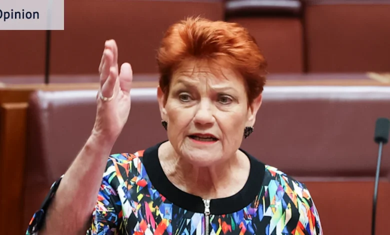 Pauline Hanson pulls a stunt and Muslims pay the price