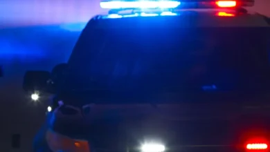 Pedestrian hit and killed by car in Vista