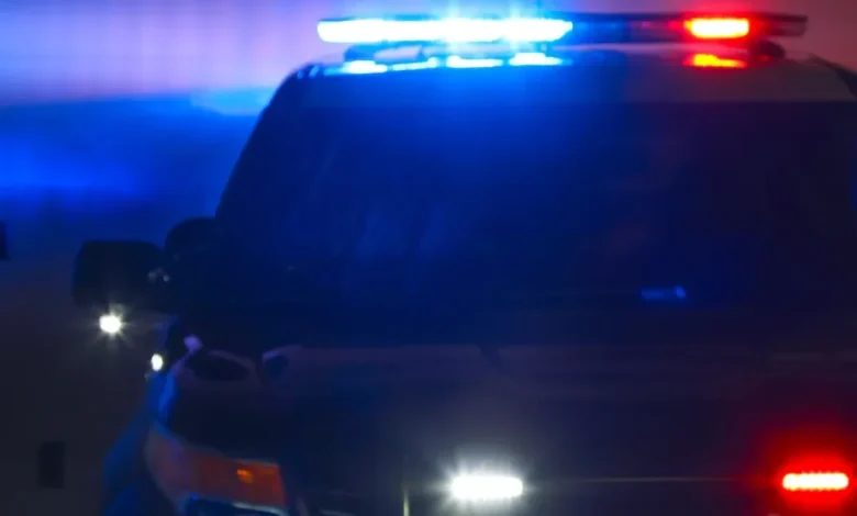 Pedestrian hit and killed by car in Vista