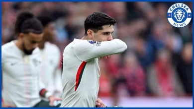 “Pedro, he had” – Enzo Maresca issues Pedro Neto injury update ahead of Wolves clash