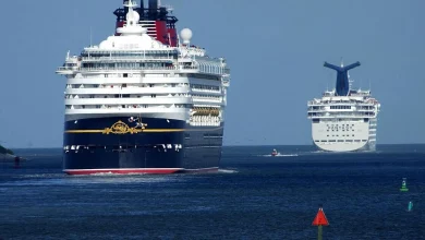 Pensioner, 73, missing after falling overboard from cruise ship