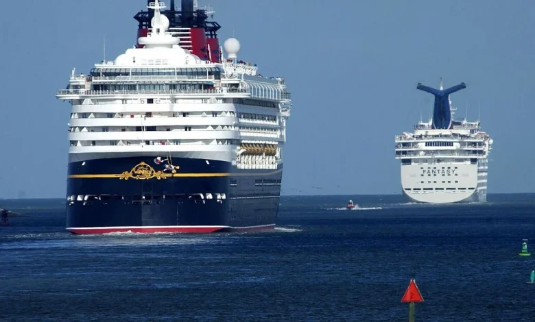 Pensioner, 73, missing after falling overboard from cruise ship