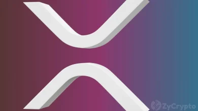 Perfect Storm Brewing — Binance’s Shrinking XRP Supply Could Trigger Massive Ripple’s XRP Rocket