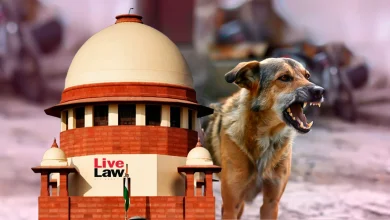 'Persistence Of Stray Dogs Imperils Public Safety' : Supreme Court Flags "Dog Bite Menace", Says Children ...