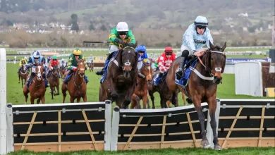 Pertemps Final qualification races and eligible horses for Cheltenham Festival 2026
