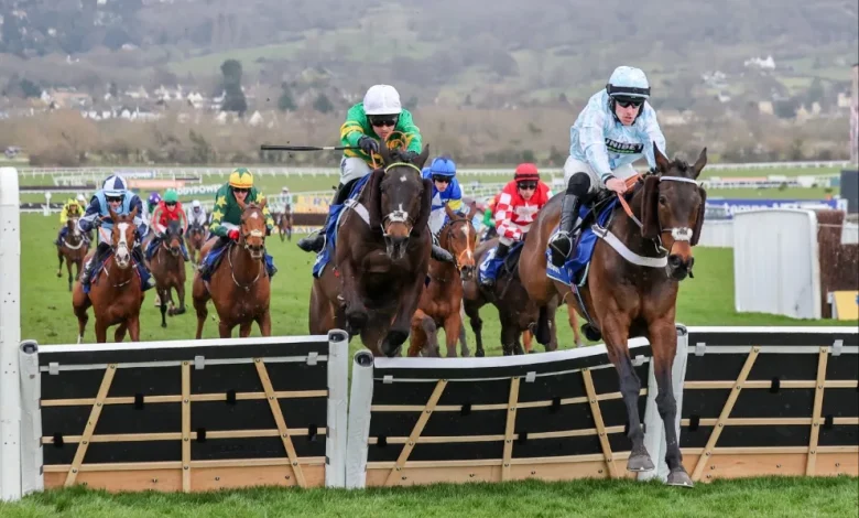 Pertemps Final qualification races and eligible horses for Cheltenham Festival 2026