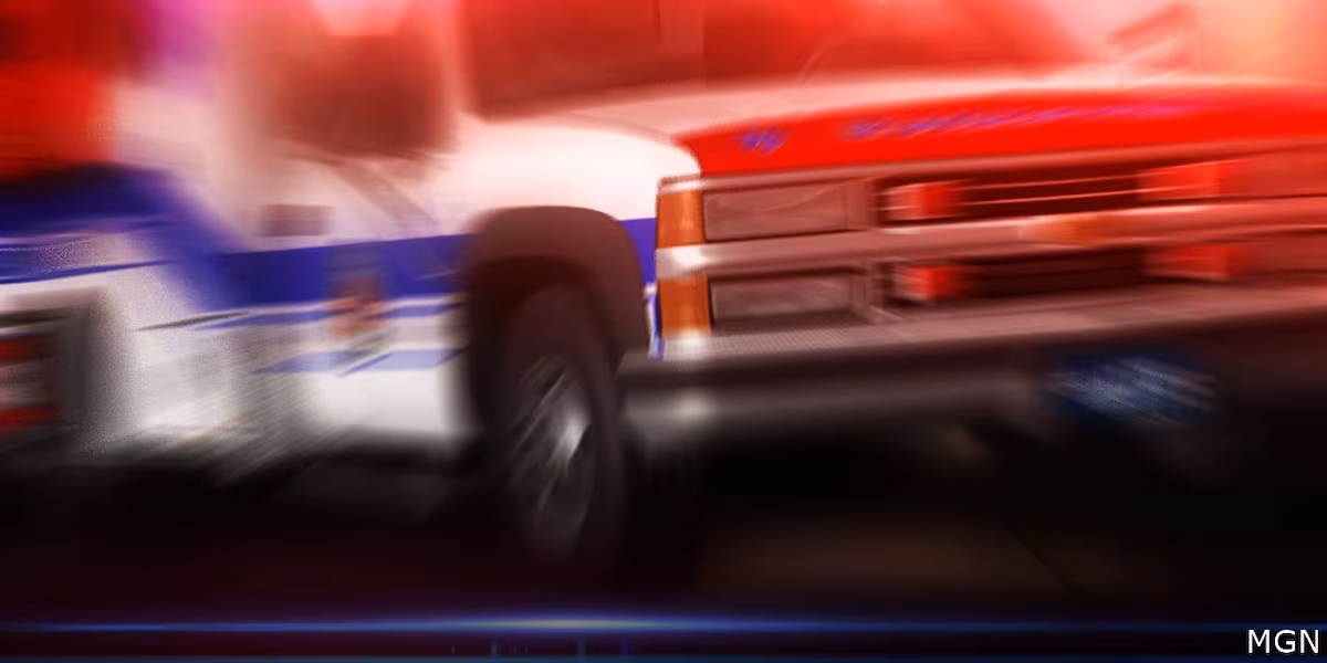 Pet sitter, 23, killed by 3 dogs she was caring for, police say