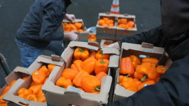 Photos: Food banks scramble to get ready as SNAP funding deadline looms