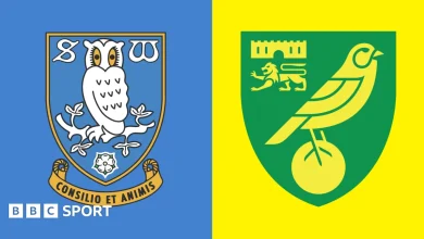 Pick of the stats: Sheffield Wednesday v Norwich City