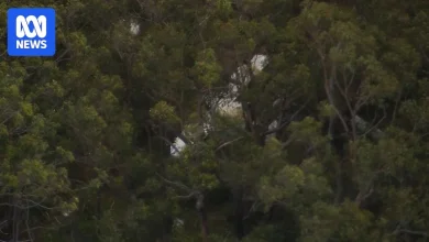 Pilot dead after light aircraft collide mid-air