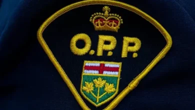 Pilot dead after two small planes collide in Ontario: OPP