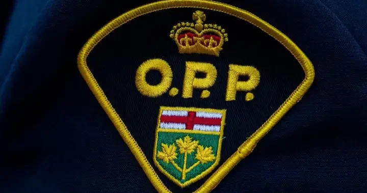 Pilot dead after two small planes collide in Ontario: OPP