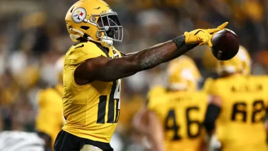 Pittsburgh Steelers WR DK Metcalf fined for penalty vs. Packers