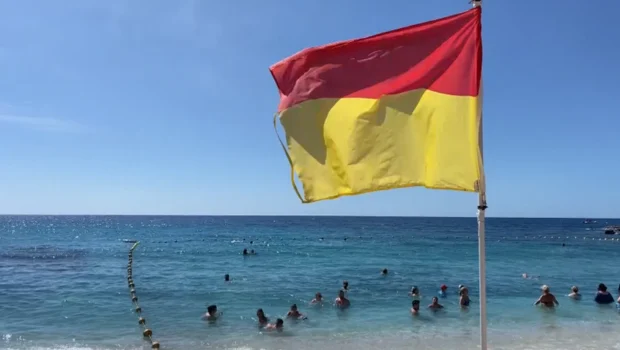 Plage de Boucan Canot : quel bilan pour les filets anti-requin ?