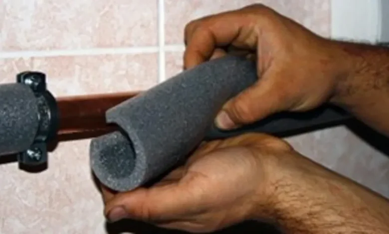 Plants, pets, pipes. How to get ready for Florida's 1st freeze tonight