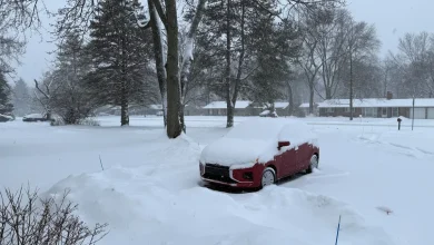Polar vortex may shift Thanksgiving forecasts. What it could mean for Michigan