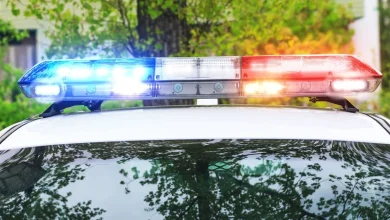 Police: Missing Louisiana girl found in Brighton Heights man's basement