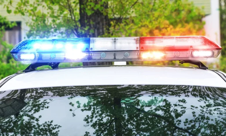 Police: Missing Louisiana girl found in Brighton Heights man's basement