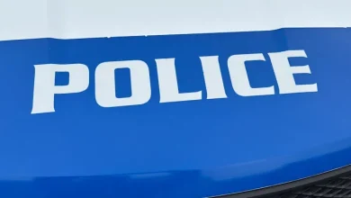 Police Search for Stolen Honda Involved in Multiple Crashes