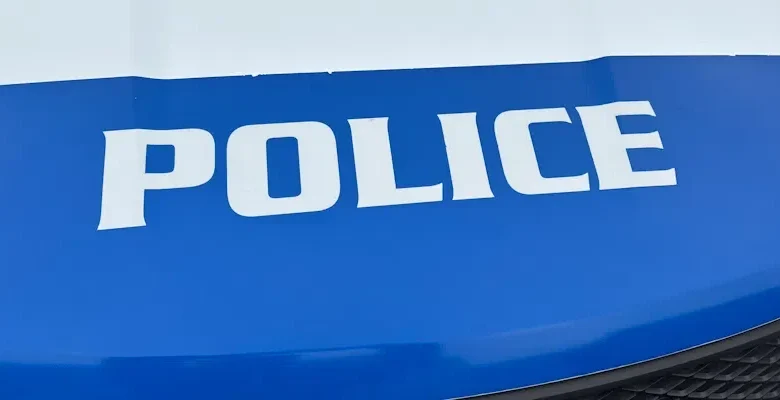 Police Search for Stolen Honda Involved in Multiple Crashes