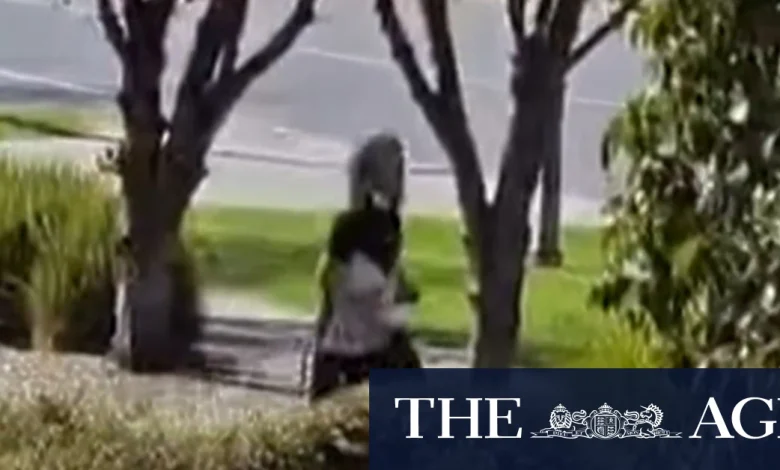 Police suspect man shot in Bayswater supermarket car park