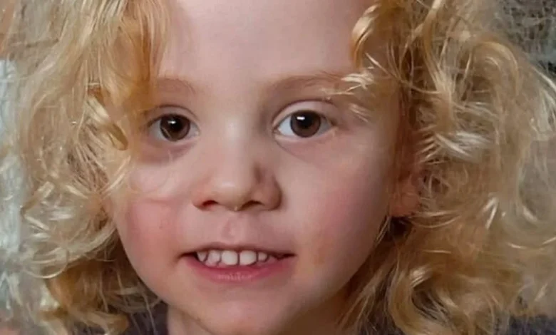 Police to carry out fresh searches for missing boy Gus Lamont at old mineshafts