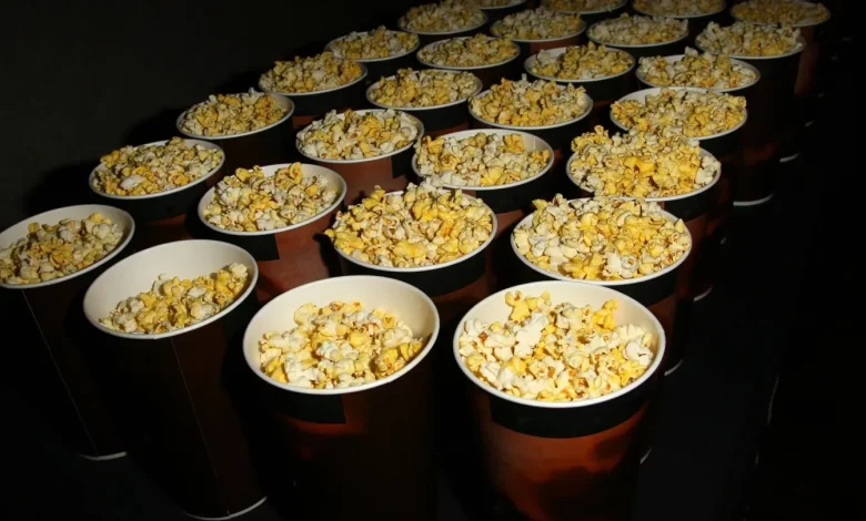 Popcorn Palooza: AMC Theatres Offers Half-Off Yearly Concession Pass