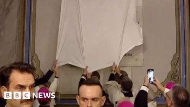 Pope Leo struggles to unveil plaque in Turkey