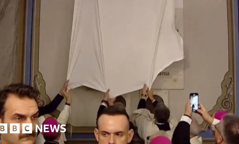 Pope Leo struggles to unveil plaque in Turkey