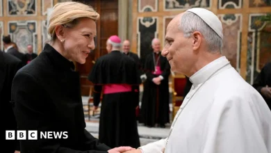 Pope Leo welcomes cinema stars to the Vatican