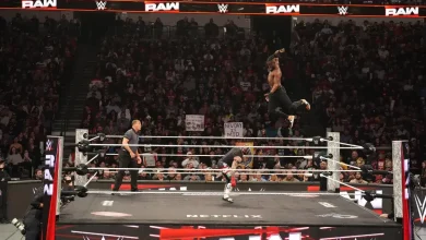 Popular WWE Star Returns to Raw After Injury Absence