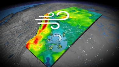 Powerful winds whip into Alberta, but with a warm temperature boost