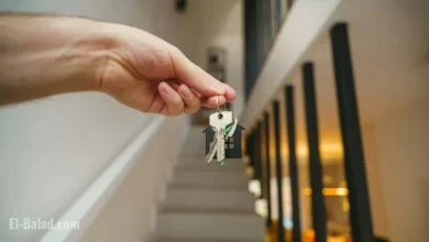 Powys Landlords Encouraged to Join Initiative Combating Homelessness