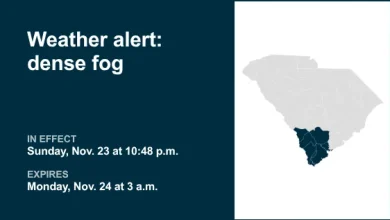 Prepare for dense fog in Lowcountry until 3 a.m. Monday