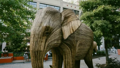 Preview: Utah pays a visit