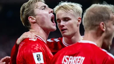 Preview:Denmark vs Belarus - prediction, team news, lineups