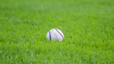 Previews: Clough-Ballacolla bid for Leinster final place while one Laois U-20 HC semi final down for decision