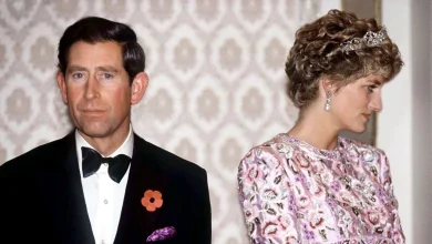 Princess Diana and Prince Charles 'reconciliation hopes' before bombshell interview