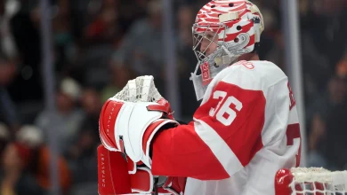 Projected Lineups for Lightning vs Red Wings – 11/28/25