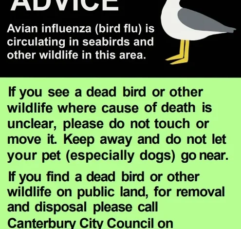 Public urged to be vigilant as bird flu circulates