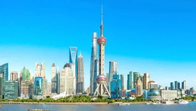 Pudong: Global Enterprises Co-shape New Industrial Landscape