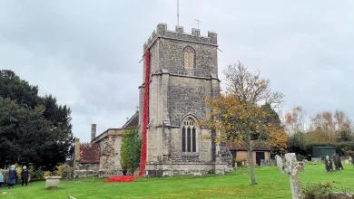 Purbeck knits 5,000 poppies for Wool Armistice tribute