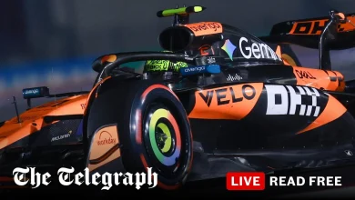 Qatar F1 Grand Prix sprint qualifying live: latest updates and lap times