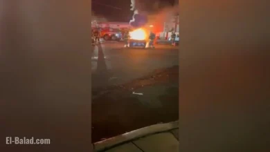 Queens Residents Outraged as Car Meetup Escalates into Violence