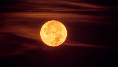 Qu’est-ce que la «super Lune du Castor», spectacle céleste visible ce mercredi ?
