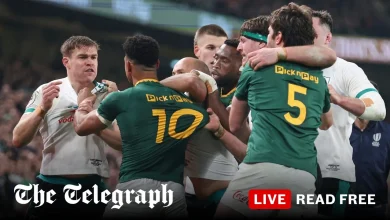 Questions raised over Ireland’s future after plucky defeat by Springboks
