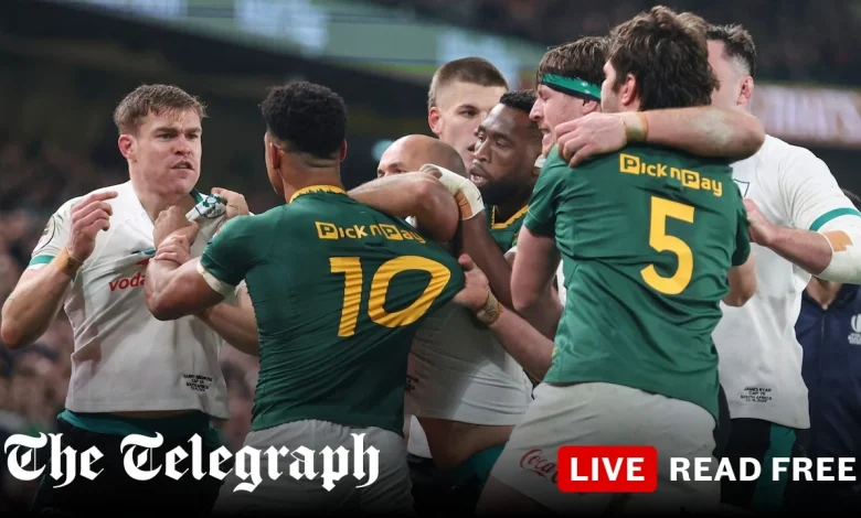 Questions raised over Ireland’s future after plucky defeat by Springboks