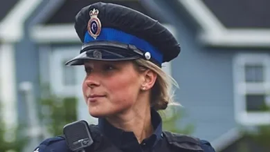 RNC Issues Warning About Porch Pirates as Holiday Season Begins