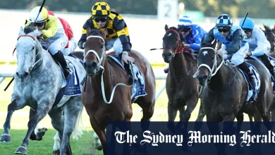 Race-by-race preview and tips for Randwick on Saturday